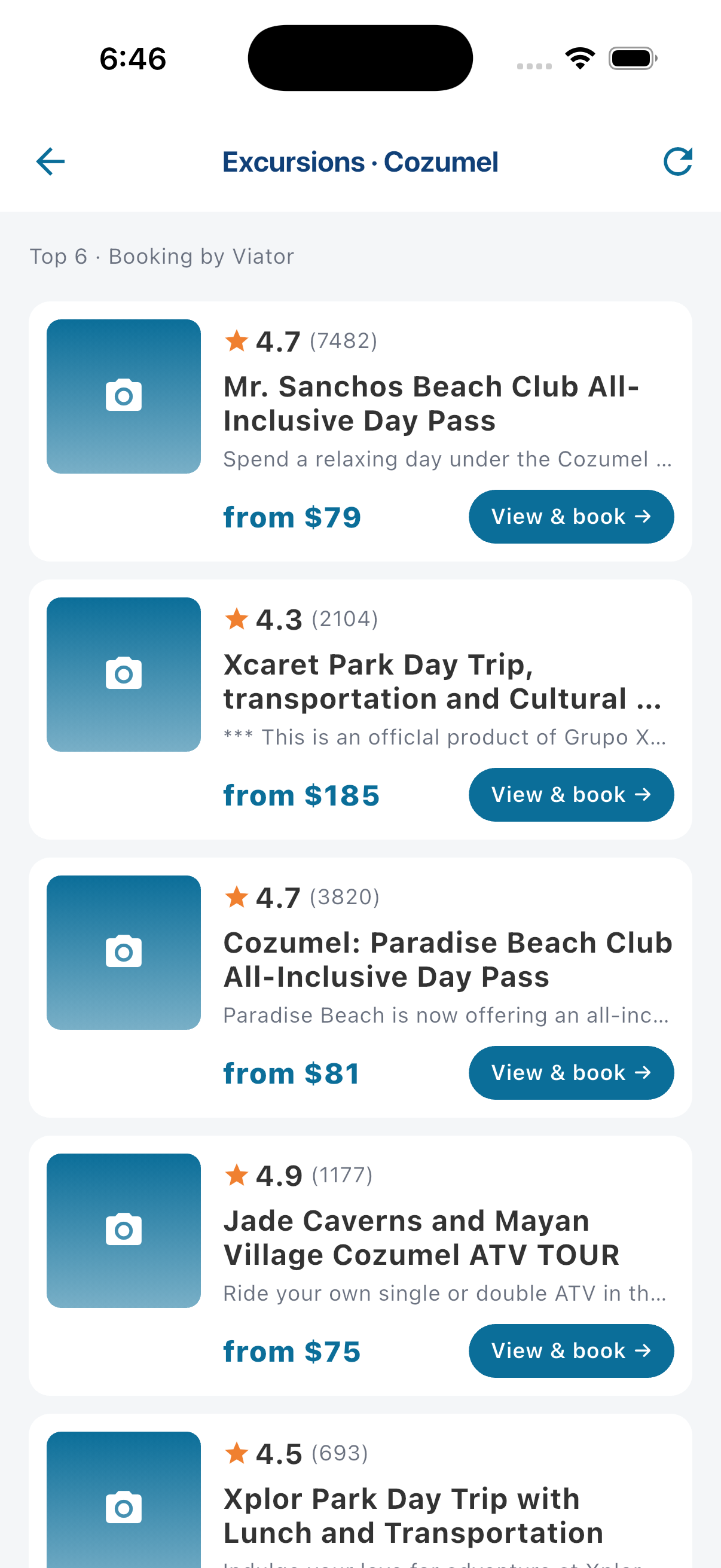 Excursion list screen for a cruise port
